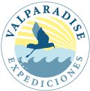 Valparadise_logotipo_web