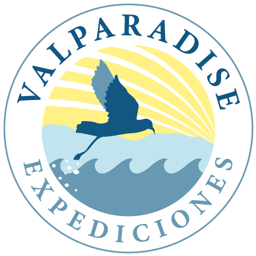 valparadise_expediciones